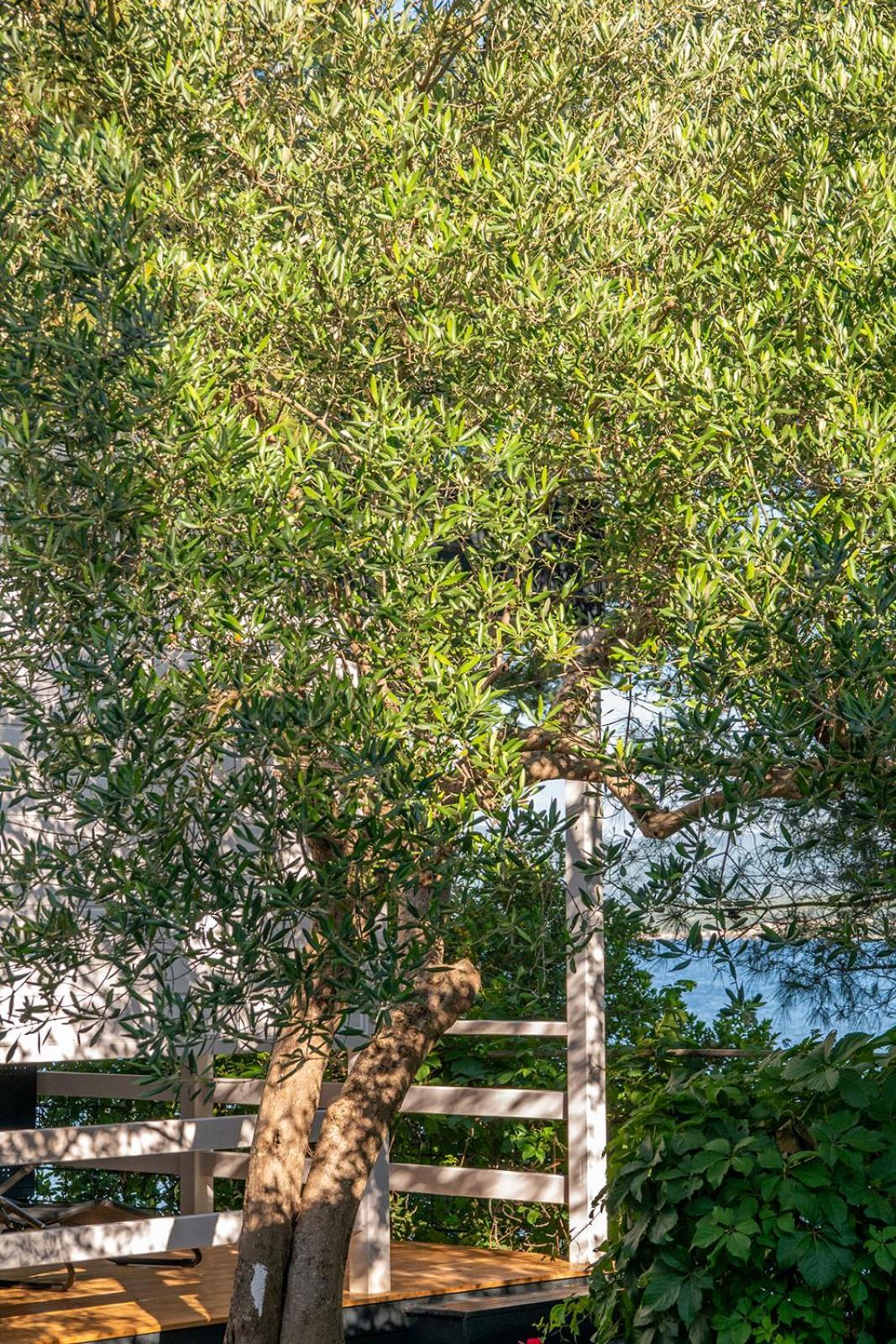 Mobile Homes Kristina Posedarje Exterior foto